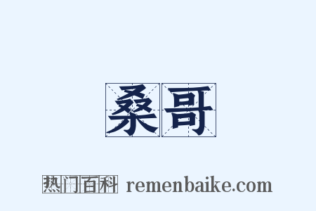 桑哥是什么意思的图片
